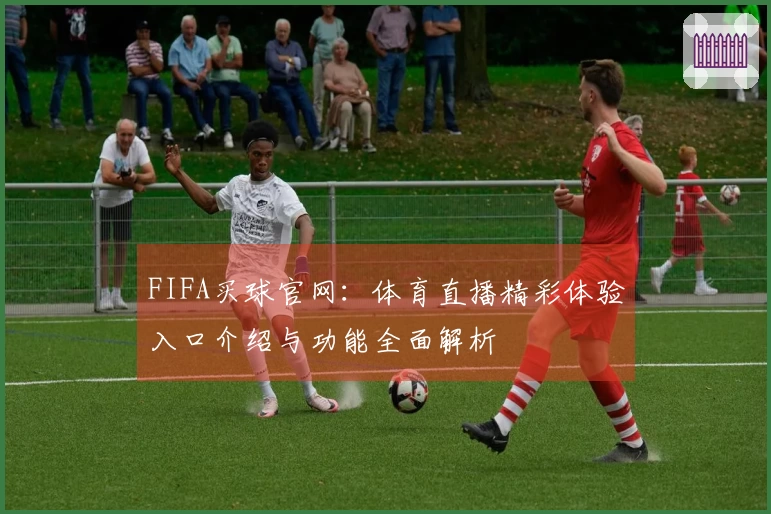 FIFA买球官网：体育直播精彩体验入口介绍与功能全面解析